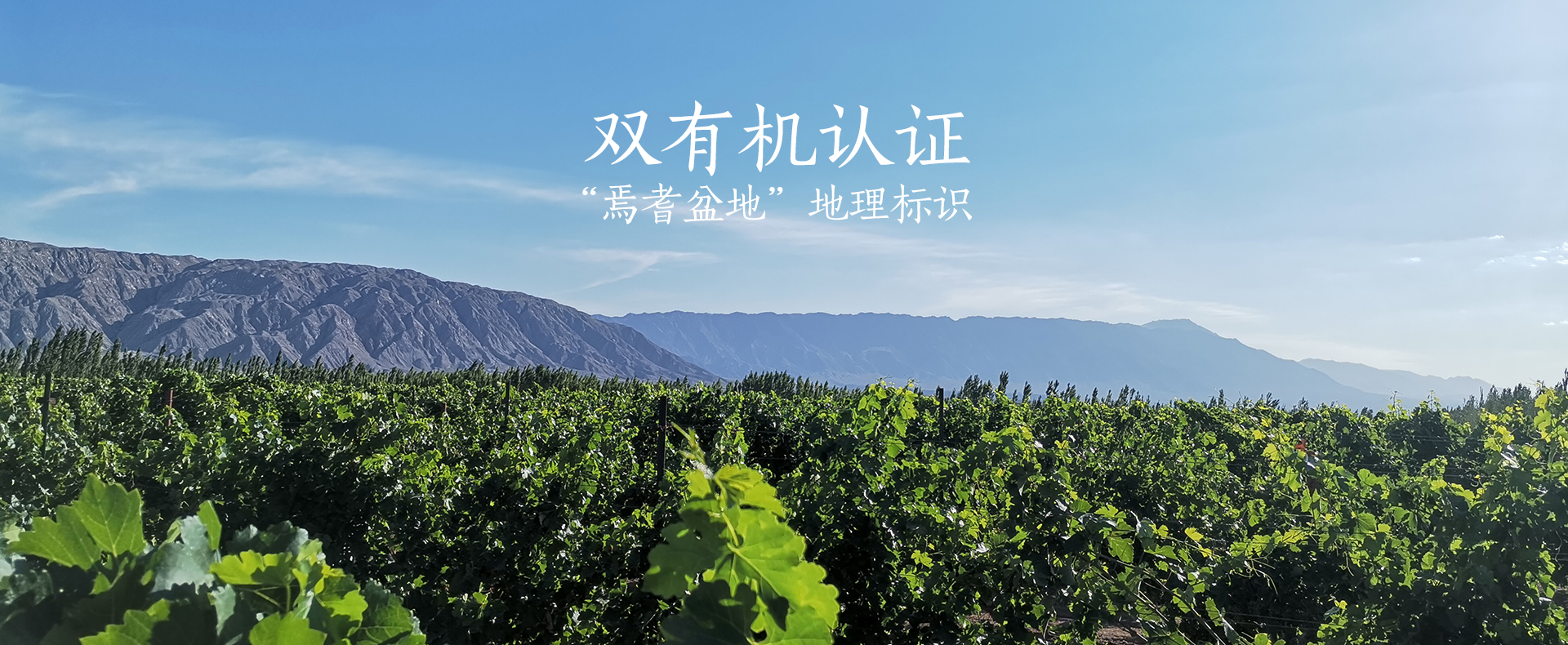 官网banner (6).jpg